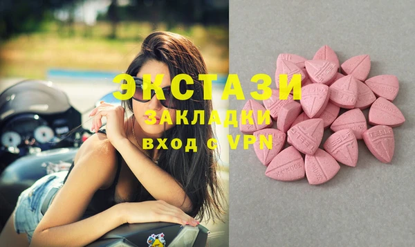 стаф Магас