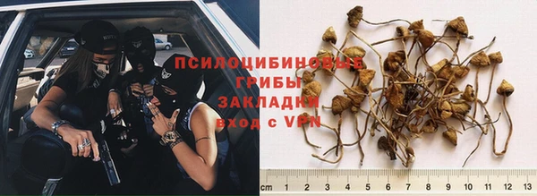 Альфа ПВП Ладушкин