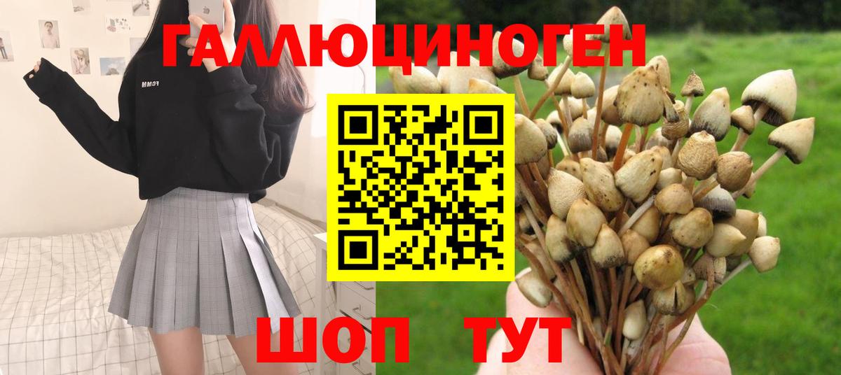 Псилоцибиновые грибы Magic Shrooms  Вход с VPN  Псилоцибиновые грибы Magic Shrooms  Михайловка 
