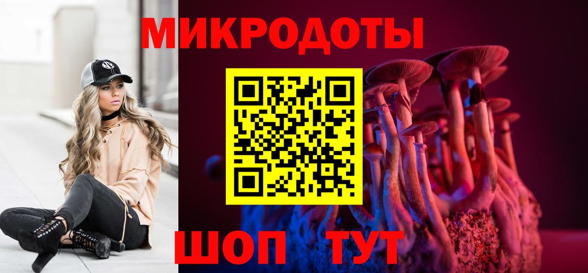 Псилоцибиновые грибы Cubensis  Псилоцибиновые грибы прущие грибы  Михайловка 